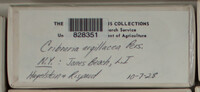 Image Associated With the Occurence